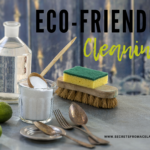 WHY I LIVE AN ECO-FRIENDLY LIFESTYLE