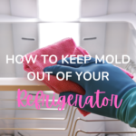 HOW TO KEEP MOLD OUT OF YOUR REFRIGERATOR